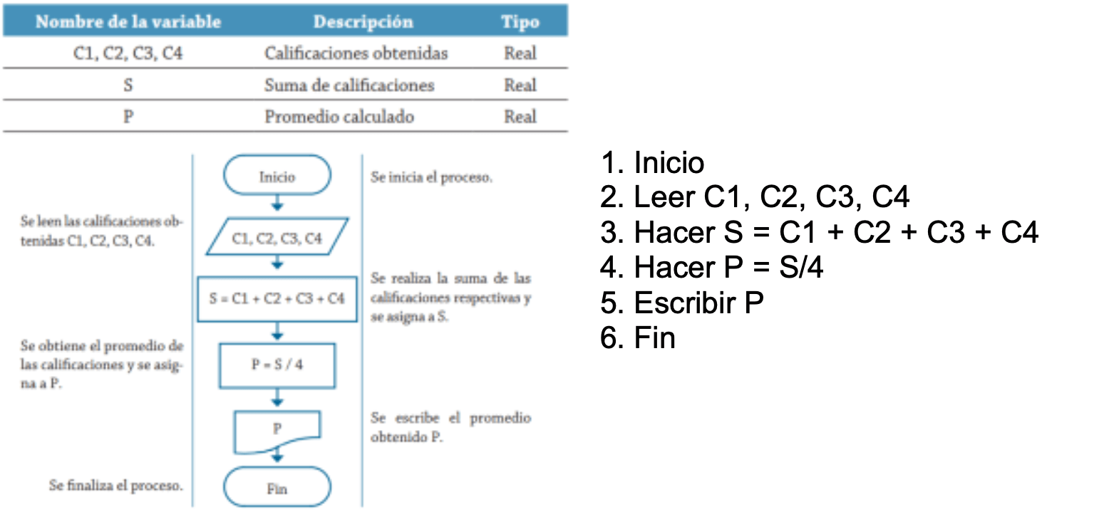 PR204
