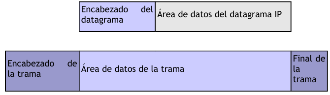 Datagrama IP